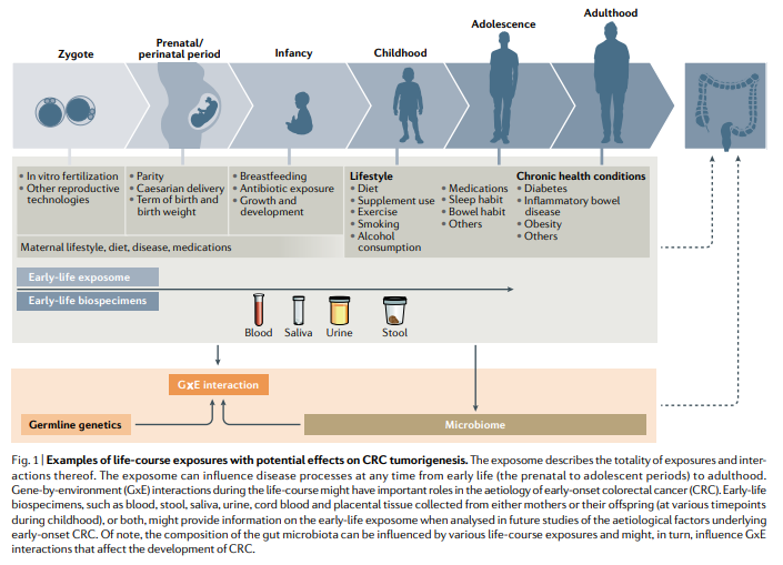NatRevClinOncol's tweet photo. New Perspective by @yincaoScD, @ng_kimmie, @shuji_ogino and colleagues: 'Rising incidence of early-onset colorectal cancer β a call to action' - https://t.co/r3nIwne0Ja #CRCSM #caepid #caenv https://t.co/Kg9szmppga