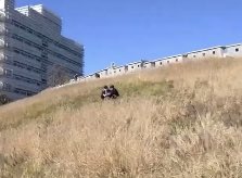 너무 도필다운 사진