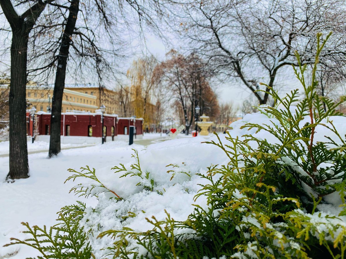 Доброй недели ❄️
⠀
#mosgorsad #садэрмитаж