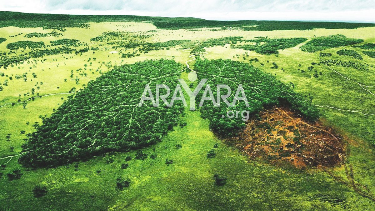 arayaraoficial's tweet photo. Estamos #conectados / We are all #connected / Estamos todos #ligados
#Arayara #EmDefesadaVida #COESUS #FéPazeClima https://t.co/jNtC71ULew