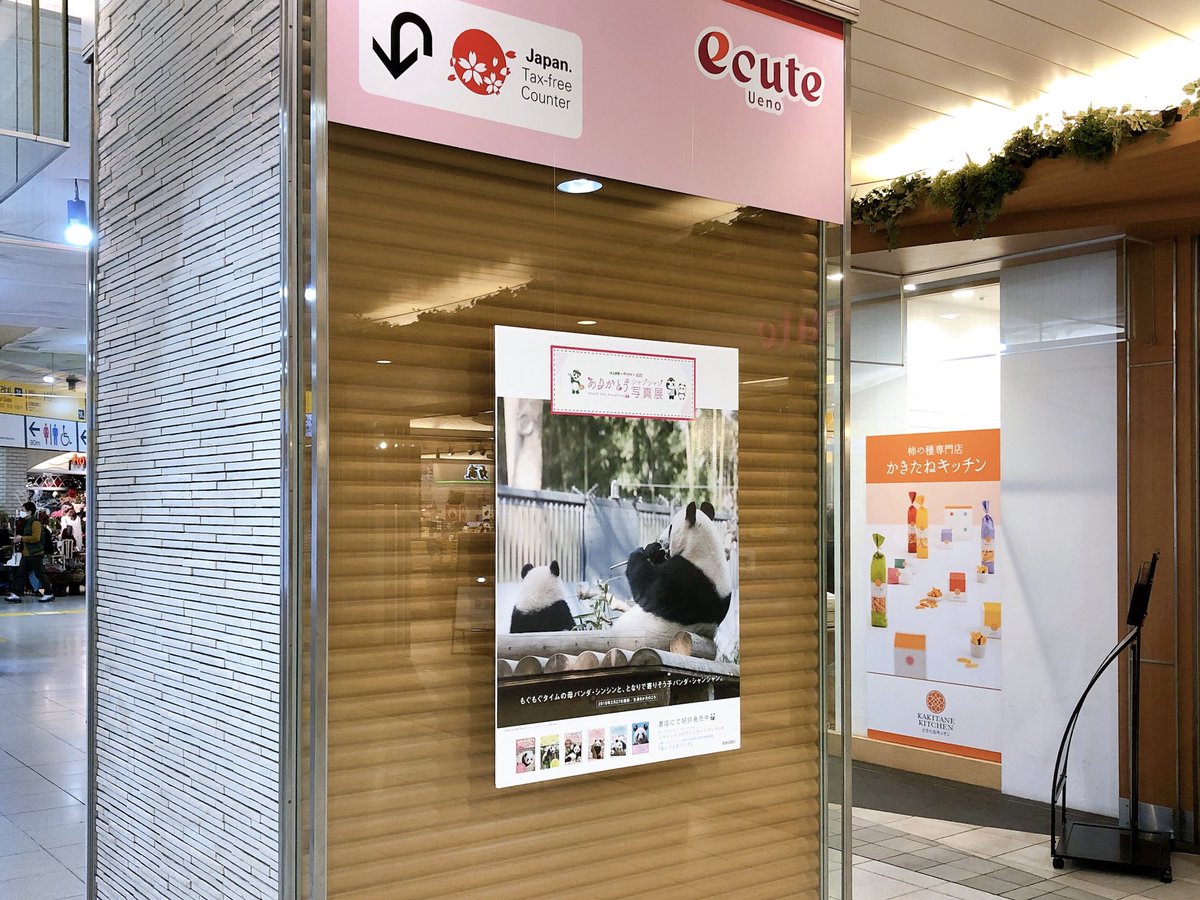 Ishii 書籍編集 ありがとうシャンシャン写真展 は Jr上野駅 改札内 エキュート上野 改札内 アトレ上野 改札外 で同時開催 3箇所でパンダのイラスト うえぱん うえきゅん パトレ を撮影して交換場所で見せると シャンシャンの Ishii 書籍編集 ありがとうシャンシャン写真展 は Jr上野駅 改札内 エキュート上野 改札内 アトレ上野 改札外 で同時開催 3箇所でパンダのイラスト うえぱん うえきゅん パトレ を撮影して交換場所で見せると シャンシャンの