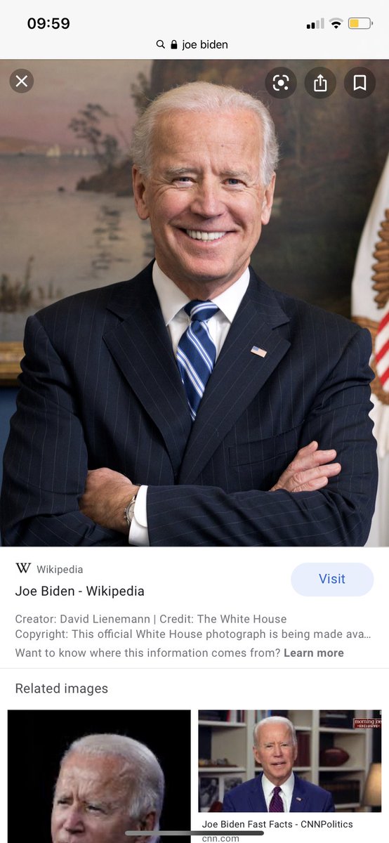 Joe Biden as Kelsier