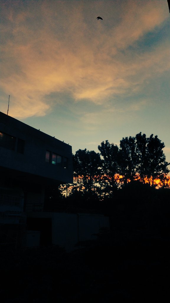 Swathy_Joy's tweet photo. Sunset colors
#Bangalore https://t.co/FTomHl4rME