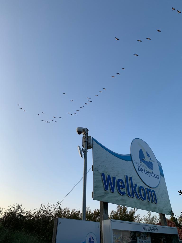 U kunt nu weer online boeken!