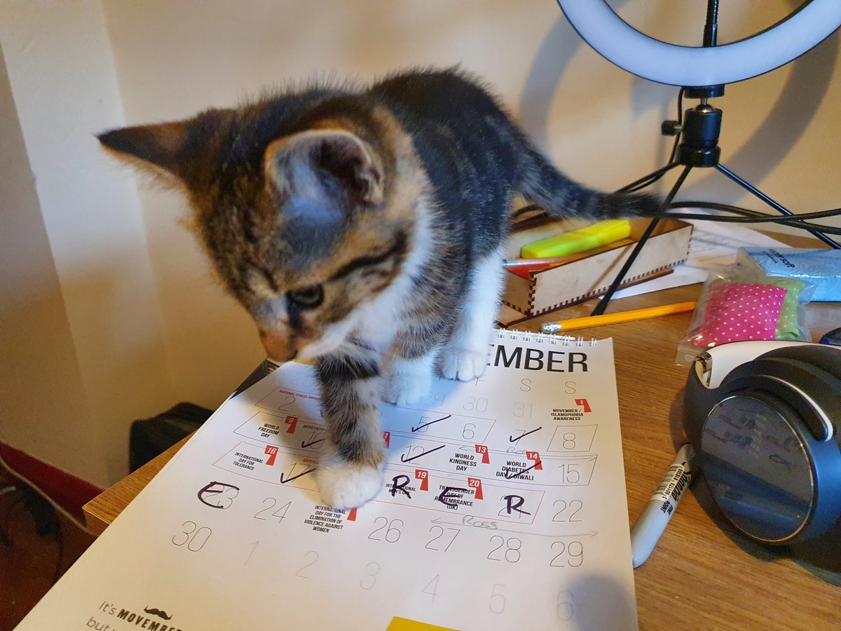 It's UK Disability History Month and I'm thinking about aspects of self and working with and respecting the whole person chrysalisgim.org.uk/ceo-blog/inclu…
Also kittens!
#UKDHM2020 #intersectionality