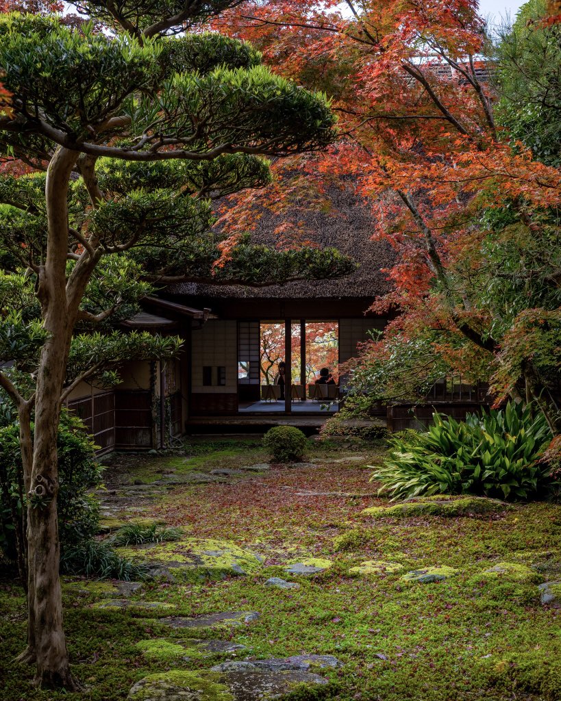 Onigiroofficial's tweet photo. 23 November is Kinrō Kansha No Hi, a festivity to celebrate work. On ancient times, this was a #Japan imperial festivity named Niiname-sai, to pray for good harvest. Use this time to enjoy late #Autumn #foliage.
.
#勤労感謝の日
#VisitJapan
#JapanTravel https://t.co/bIO0qKVHOq