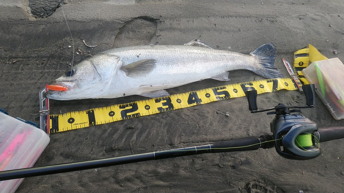 17エクスセンスdc