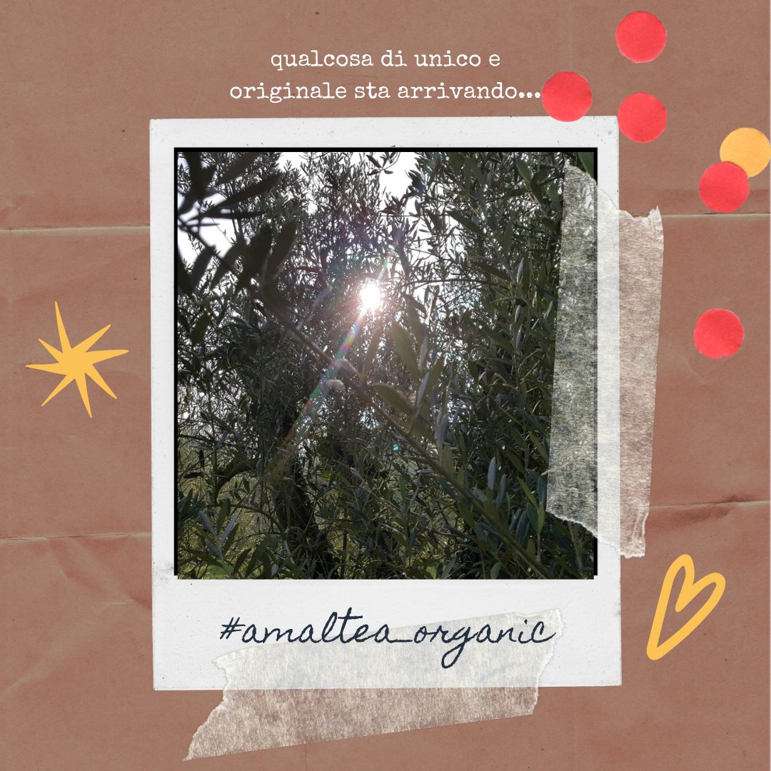 Amaltea_snc's tweet photo. " La perfezione dell’uomo consiste proprio nello scoprire le proprie imperfezioni. "

Sant' Agostino 

#amaltea_organic #amaltea #nuovo #prodotto #foodlovers #highquality #passion #goodtaste #bartender #liquor https://t.co/cv2SSKVB0o