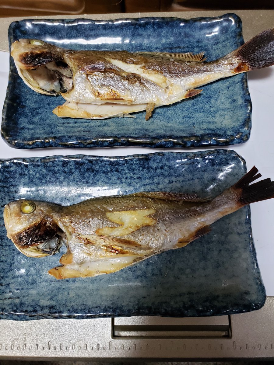 イシモチ イシモチ三昧 残りは3枚におろしたり塩焼き用に内臓と鱗とエラを処理したりでした 疲れた