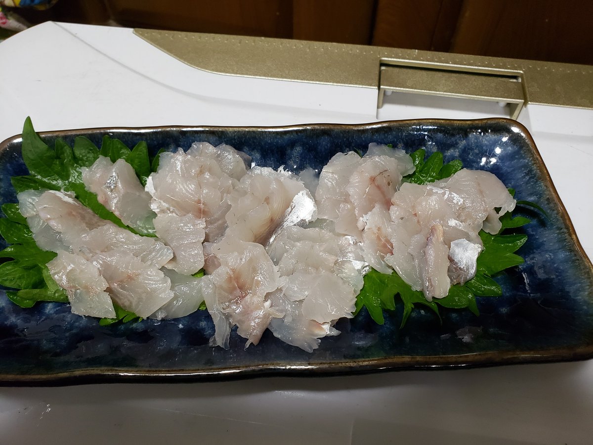 イシモチ イシモチ三昧 残りは3枚におろしたり塩焼き用に内臓と鱗とエラを処理したりでした 疲れた