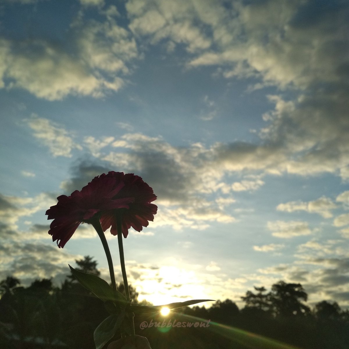 bubbleswoni's tweet photo. 끝까지 당신과 함께있을거야💛
우리 엔하이펜 데뷔의 성공💛

📸 : Dawn and Dusk from Central Kalimantan, Indonesia

#DuskandDawnforENHYPEN
#D7_Enhypen_Debut #ENHYPEN 
@ENHYPEN_members https://t.co/vnm4EYAJY6