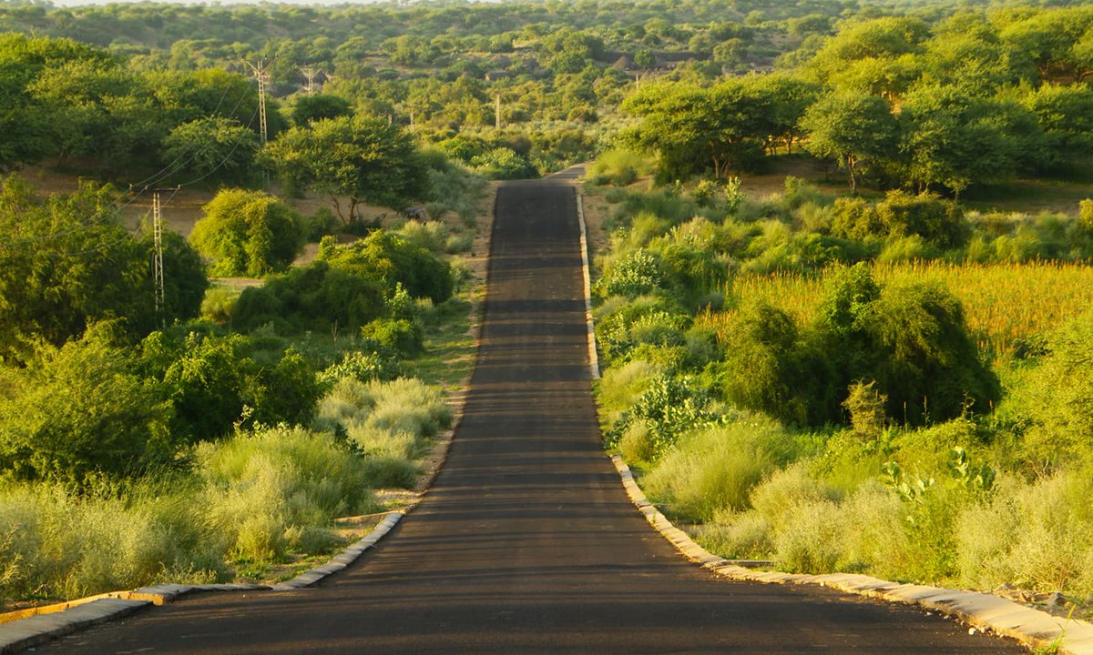Unbelievable pictures of Thar desert after the rain
#Sindh #beauty #nature #culture #green #rain
