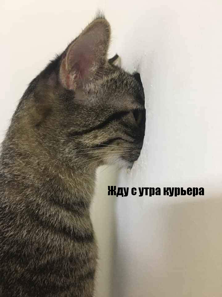 СДЭК tweet media