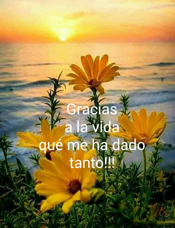 Pensamiento Positivo on Twitter: "Levántate cada mañana agradeciendo, por  lo que tienes y por lo que vendrá. Tengan una feliz semana queridos amig@s  ???????? https://t.co/vQASzP3uQz" / Twitter
