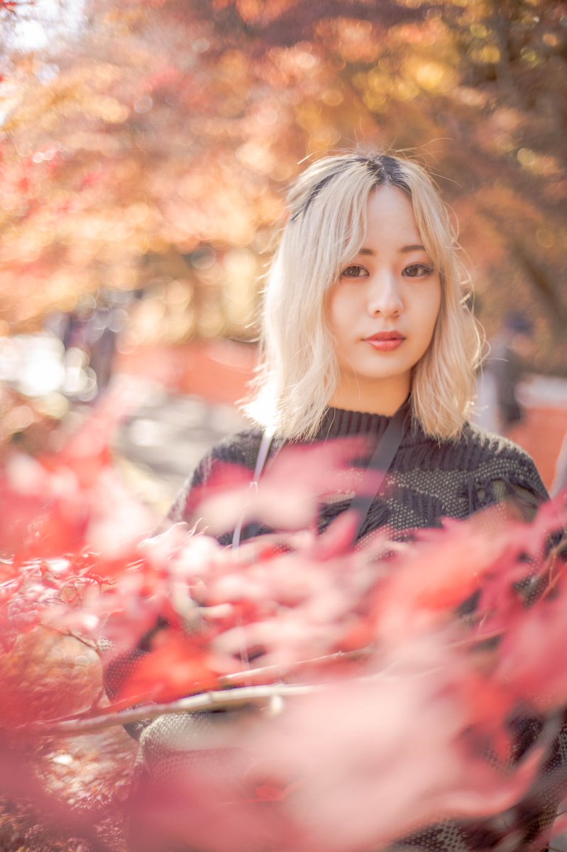 camera_8110's tweet photo. 永源寺もみじ寺。
#camera
#canon
#お写んぽ
#カメラ部
#カメラ男子
#カメラ女子
#紅葉
#永源寺もみじ寺
#ポートレート
#キリトリセカイ
#ファインダー越しの私の世界
#カメラ好きな人と繋がりたい
#写真好きな人と繋がりたい  
#被写体募集
#モデル募集
#時が止まる世界 https://t.co/GNGtb2GyXq
