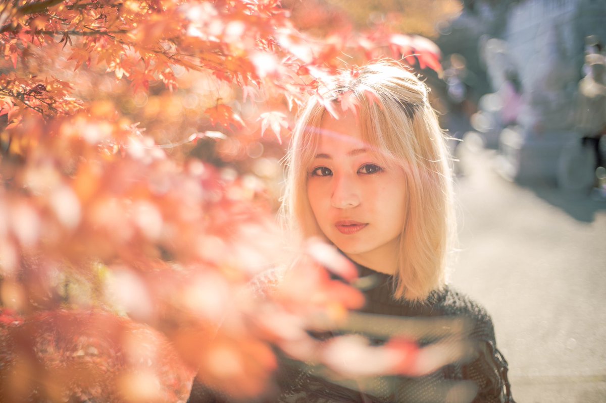 camera_8110's tweet photo. 永源寺もみじ寺。
#camera
#canon
#お写んぽ
#カメラ部
#カメラ男子
#カメラ女子
#紅葉
#永源寺もみじ寺
#ポートレート
#キリトリセカイ
#ファインダー越しの私の世界
#カメラ好きな人と繋がりたい
#写真好きな人と繋がりたい  
#被写体募集
#モデル募集
#時が止まる世界 https://t.co/GNGtb2GyXq