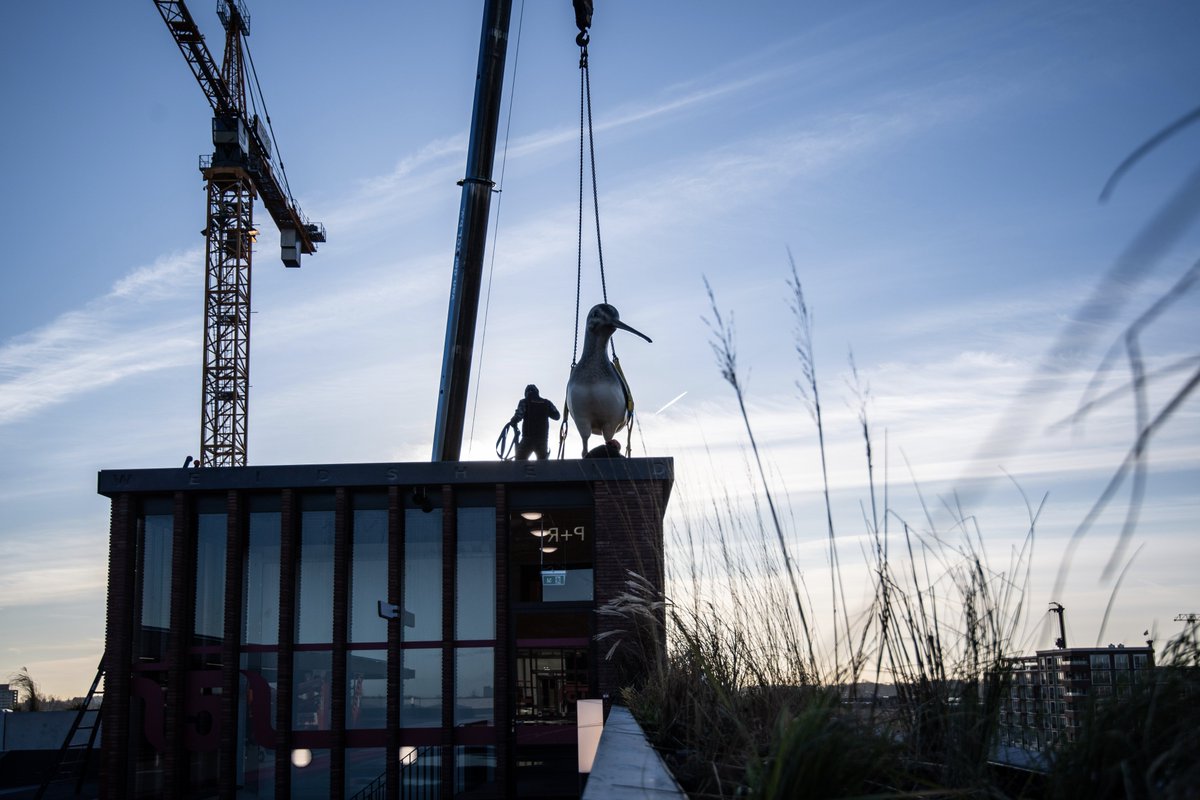 duicnl's tweet photo. Drie meter hoog beeld van vogel geplaatst op dak nieuwe parkeergarage Berlijnplein https://t.co/Dm7V9aX2CP via @duicnl #utrecht https://t.co/3whe8y0F5T