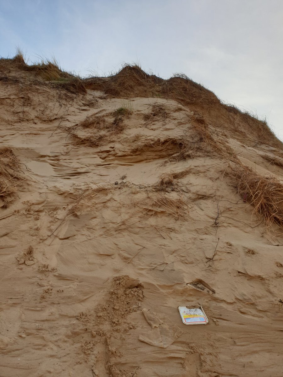 karlenak113's tweet photo. Found this very old rubbish on the dunes at #Formbypoint #formby #sefton this morning. #skiyoghurt #rubbish #5minutebeachclean #plasticwaste #plasticpollution from 1988 and 1980 β 32 and 40 years old, respectively #recycleplastic as this doesn't just go away. #ntformby https://t.co/LwaN9HpXAw