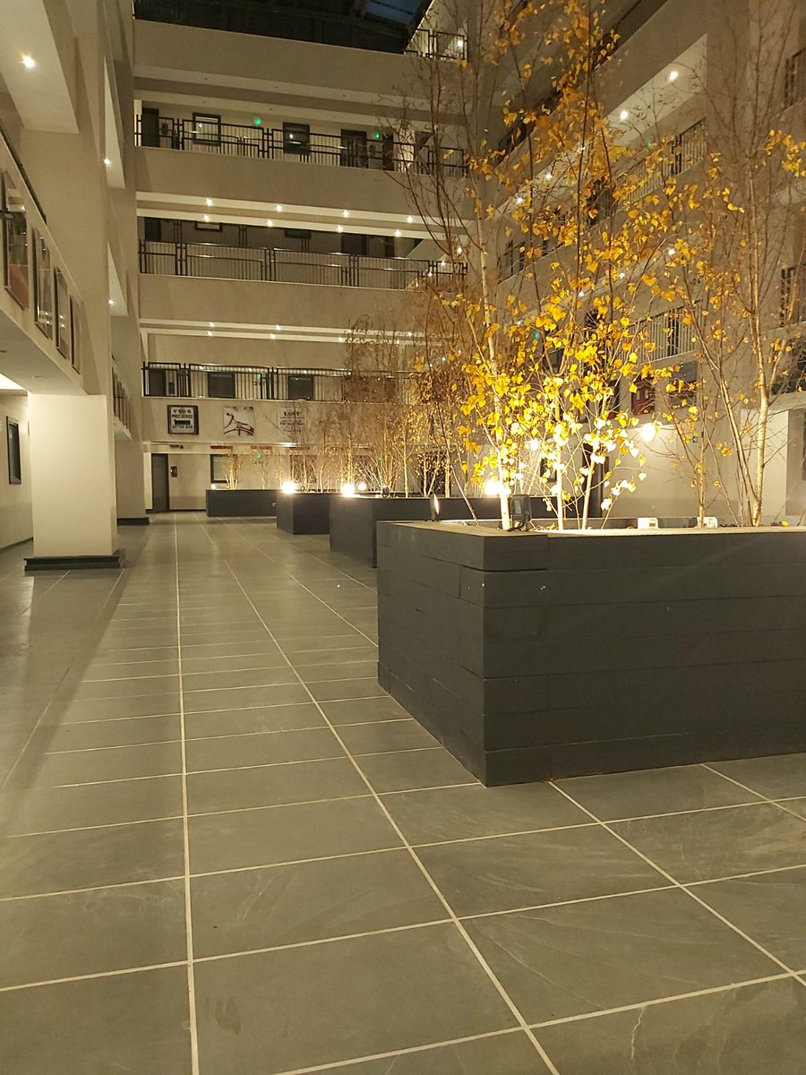 MailboxSPT's tweet photo. We've had new planters installed in the atrium space here at The Mailbox. What do you think? The warm glow gives a lovely &amp; cosy autumn feel to the space. https://t.co/9H9MLJCtsW