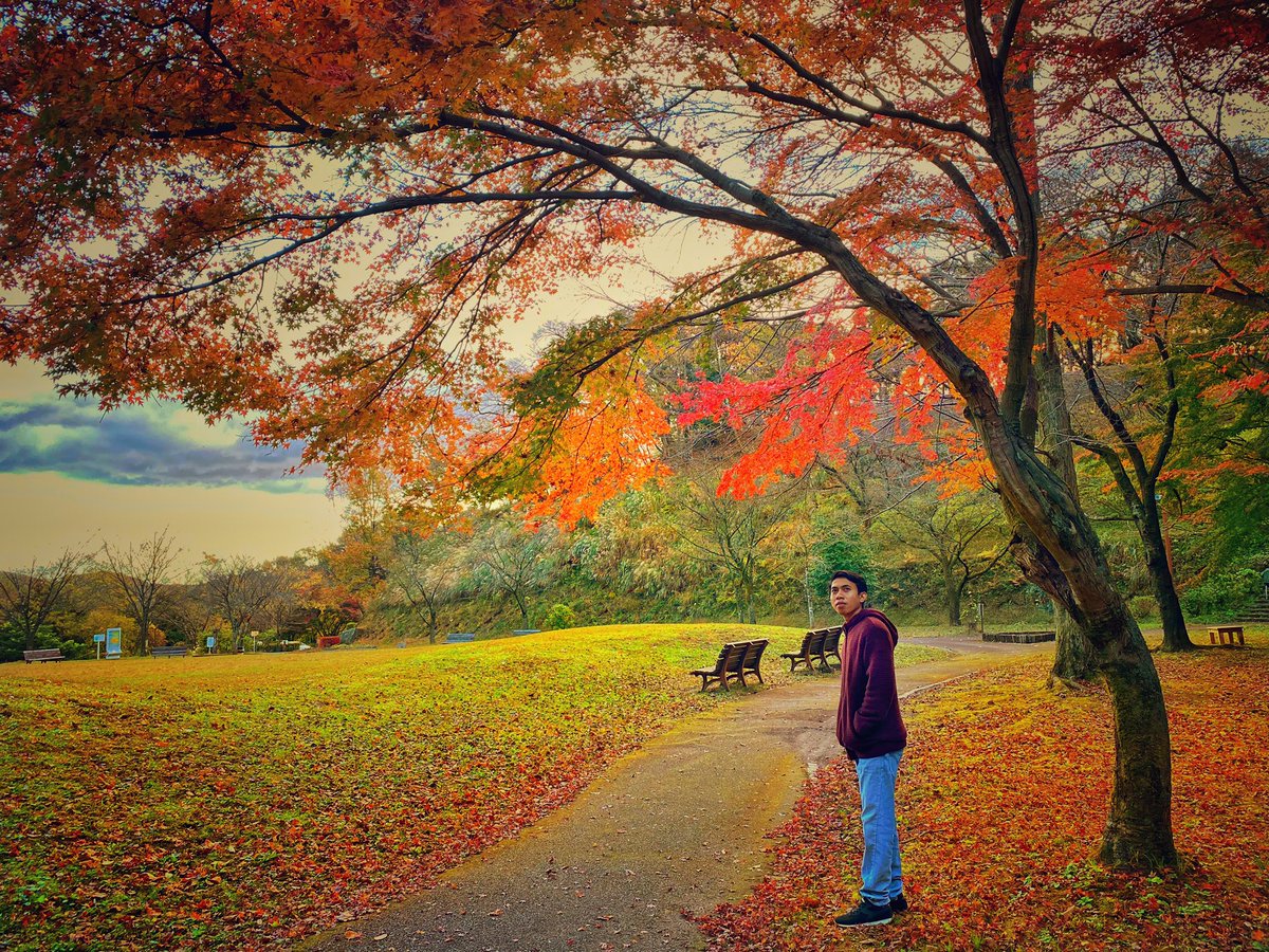 Autumn🍁
#autumn #秋 #musimgugur #momiji #japan #もりのさと #november #2020