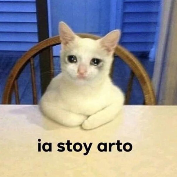anaalucas_'s tweet photo. Yo leyendo el hilo de Elena Cañizares// Yo leyendo la primera página de un pdf https://t.co/pdbjLex64b