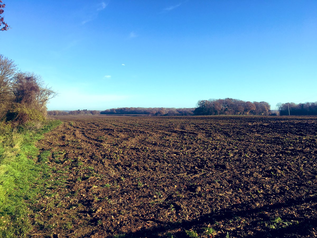 kennedy107's tweet photo. Another banging morning #crosscountr https://t.co/4ZvYObGn1w