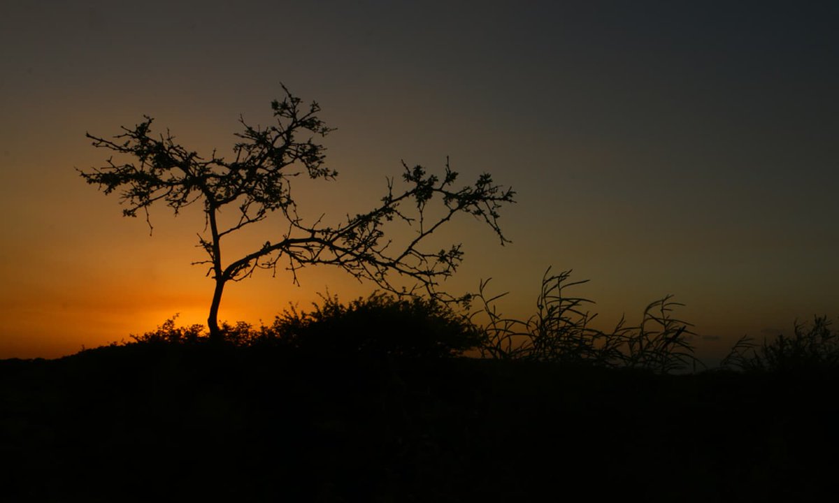 The desert has its own magic once the sun goes down.
#sunset #evening #beauty #Colors #Sindh #culture