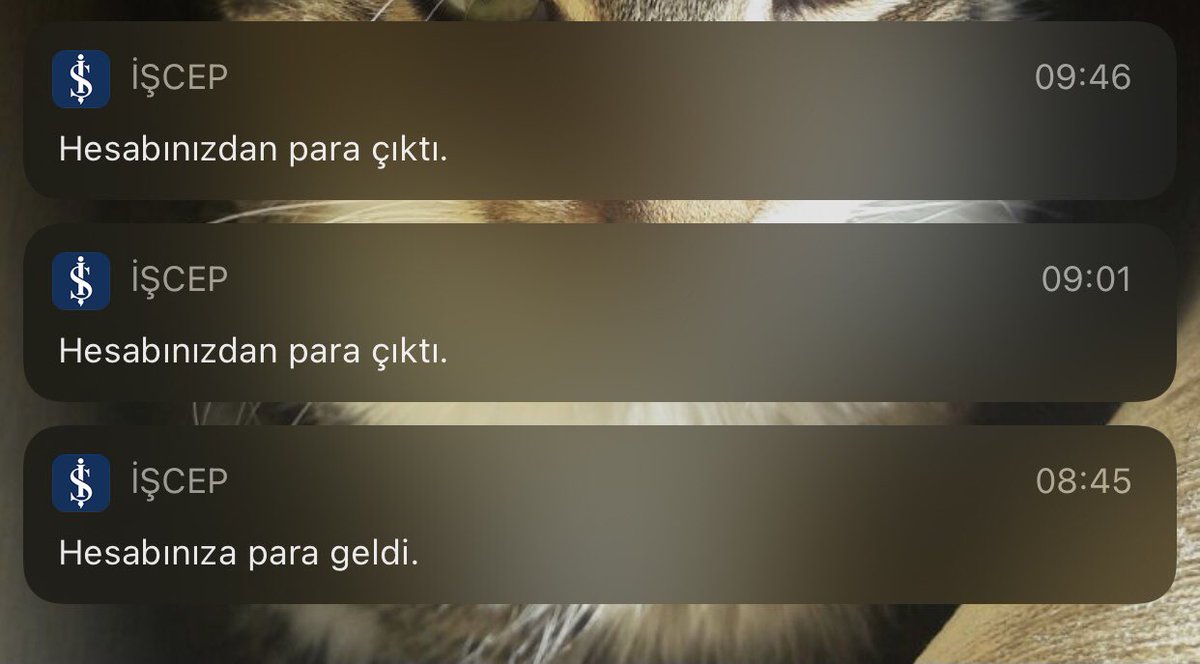 Gelmesiyle gitmesi bir oldu görseli