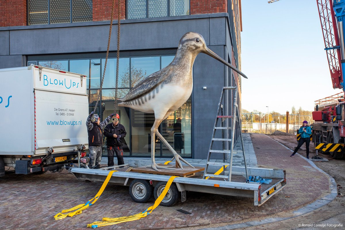 LRinbeeld's tweet photo. Met het plaatsen van deze enorme vogel op het dak van de nieuwe parkeergarage op het #Berlijnplein heeft Leidsche Rijn er weer een blikvanger bij.
Deze weidevogel(Snip) symboliseert het vroegere agrarische landschap waarop nu de Vinexlocatie #LeidscheRijn is gerealiseerd. https://t.co/Rr5cCNWNG9