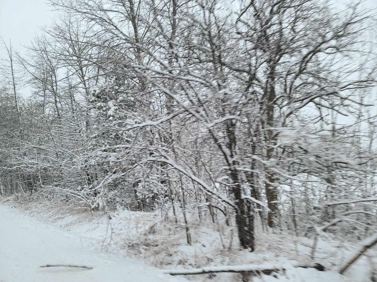 CSN_Alliance's tweet photo. Snow can be so beautiful 
.
.
Drive safe everyone 
.
.
.
#winter
#certifiedprofirst #number1
#csncollisoncentres #accidentshappen
#drivesafe https://t.co/cE8Lj6AWhq