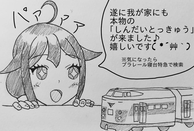 私の三連休は仕事以外はこれでした( ・`ω・') 