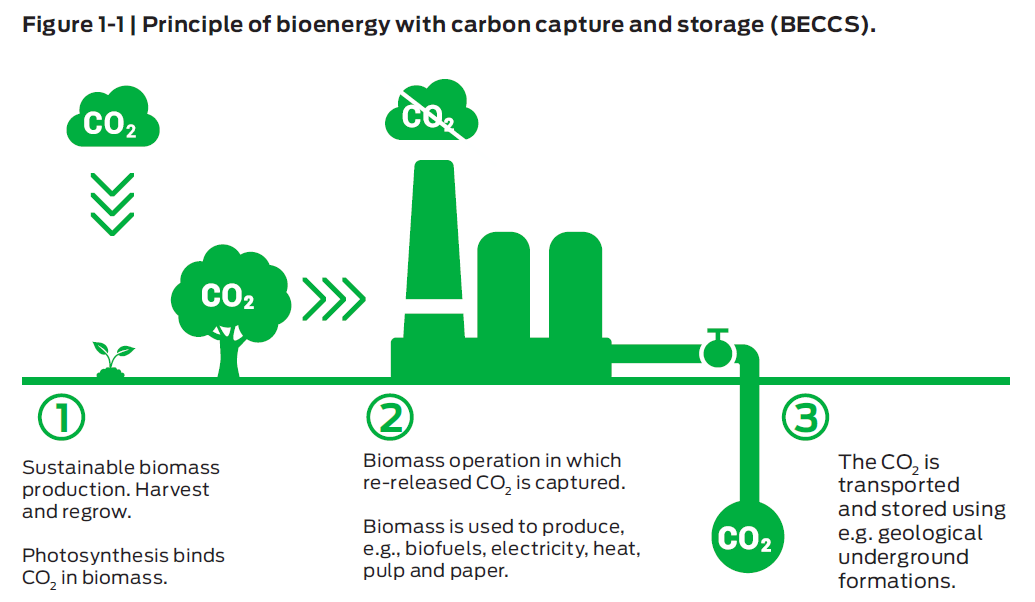 BECCS must be incentivised responsibly through policy-making processes that account for geographically varying societal values and interests (as should any approach to tackling climate change, I might add)  #geography 3/12