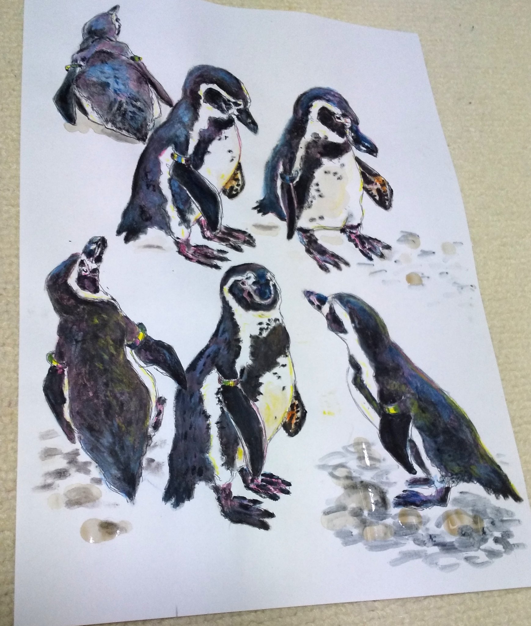ギャラリーねこい 7 27 8 2 イラスト展示会 على تويتر 本日のイラスト ペンギン がいっぱい コレクション 四枚目は筆ペンで描いたぬりえを水墨画風に黒とコーヒーで塗りました 児童館の教室で使う際 子供達にこんなやり方もあるよ 的な説明をしようと思います