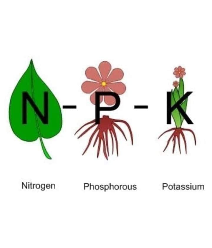 م. زراعي/ محمد الحاج tweet media