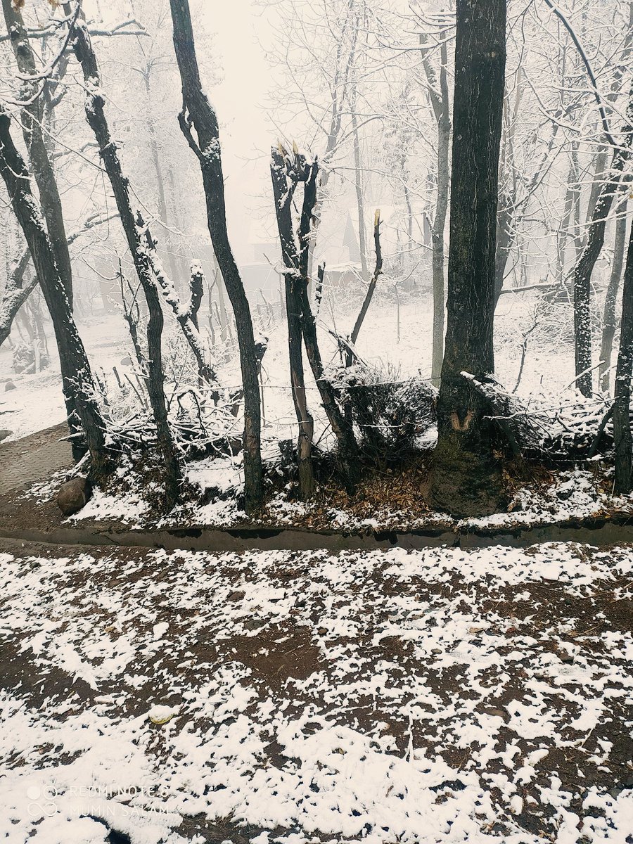 WaniMuminSalam4's tweet photo. #lightersnowfall
Winter starts...
Snowfall starts in our area in a #2gspeed.update
Your #Areas https://t.co/nCR0qHyRgs