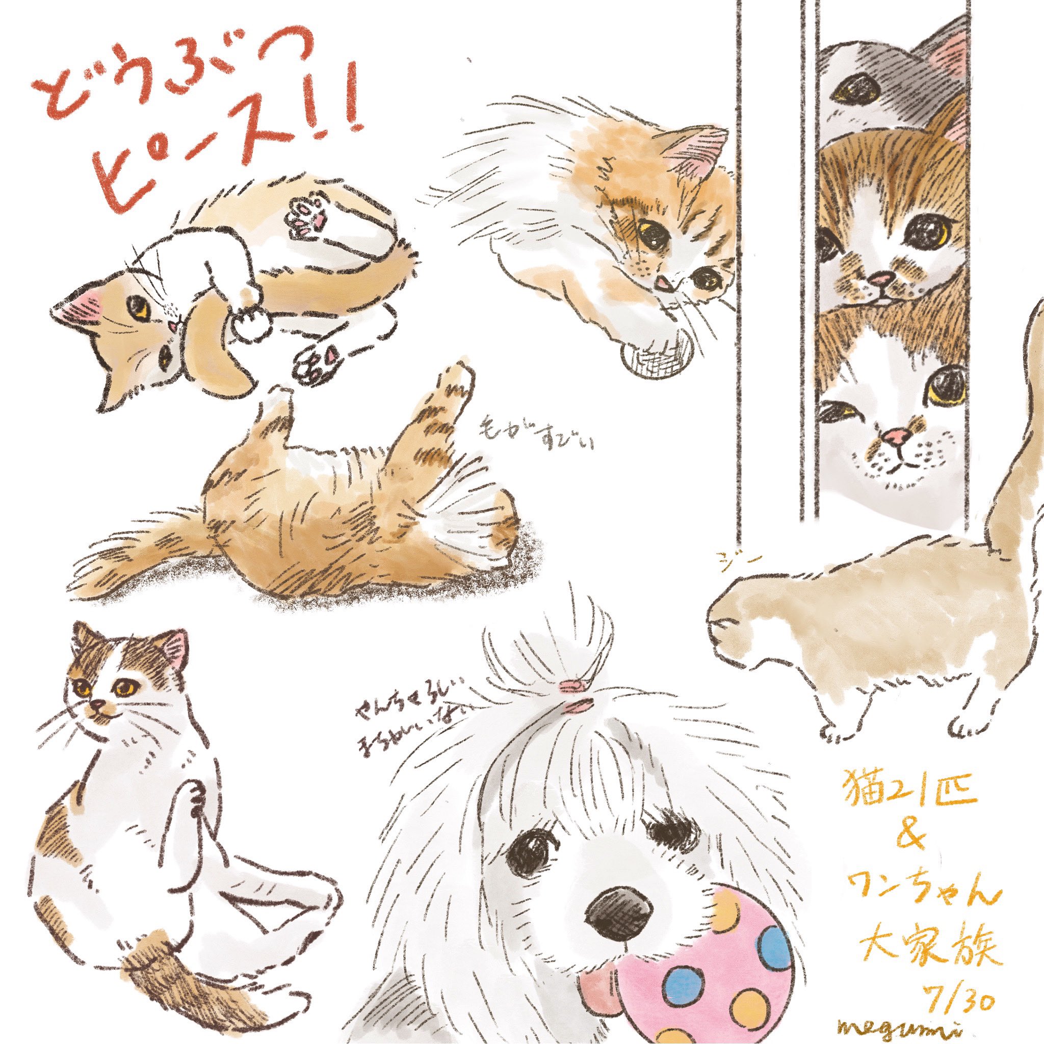 いしかわめぐみ Twitterren どうぶつピース 猫21匹 ワンちゃん大家族回を見て 猫ってあらゆる動きが可愛いですけどなんでなんですか お団子になって隙間から覗くとか可愛すぎでしょう 動物イラスト 可愛いイラスト シンプルイラスト 犬イラスト シーズー