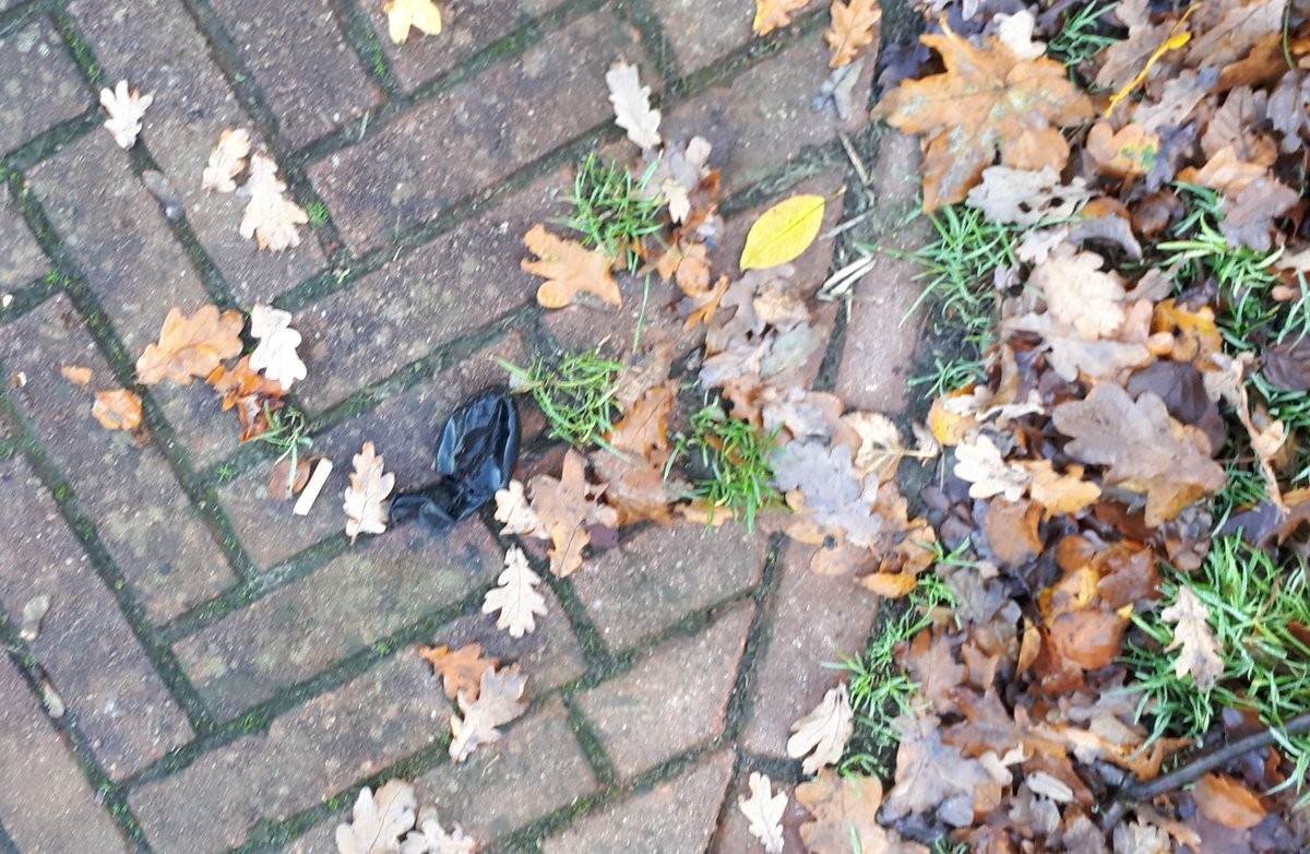 Pol_Baart's tweet photo. Mooie uitzichten heb je in het parkje in de #Zuidert in #Emmeloord, behalve dan het zicht op de leeg gezogen #lachgasballonnetjes en overig #afval die je er vindt.
De #Gemeente #Utrecht stuurt onderstaand kaartje naar de inwoners, maar zou ook voor de natuur moeten gelden. https://t.co/unTu06pDB4