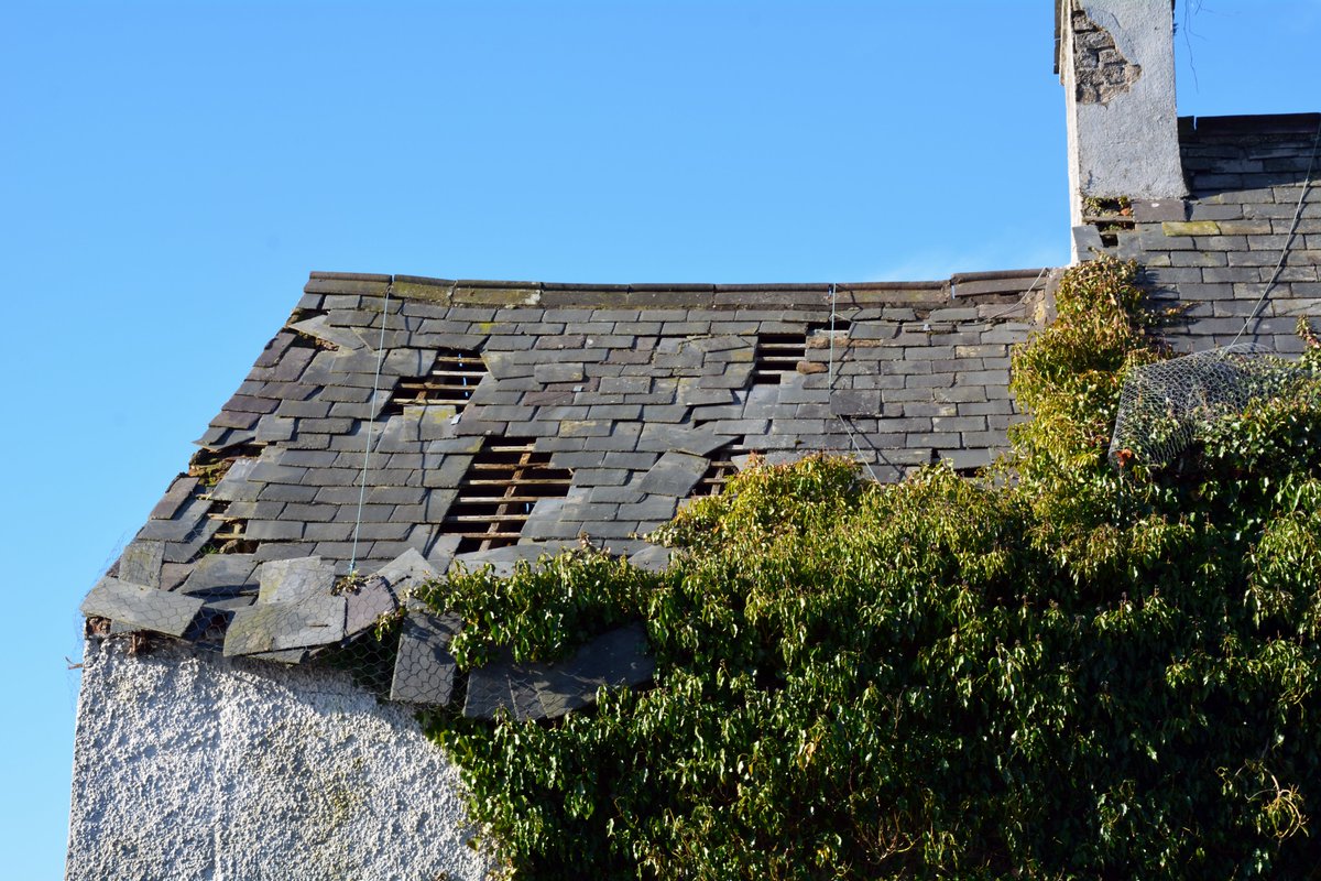 heritage_ni's tweet photo. Tip 1 - Retain your Roof - #MaintenanceWeekNI2020
The roof is the most exposed area of a building & even minor leaks π§can lead to severe problems if left unattended. It is essential that regular maintenance is carried out to ensure the building remains wind & watertight π¬βοΈ https://t.co/tmXCjvsldE