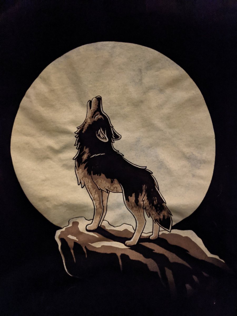 wilderanne's tweet photo. Happy #Woolfenoot to all! https://t.co/MjcTzUozLD