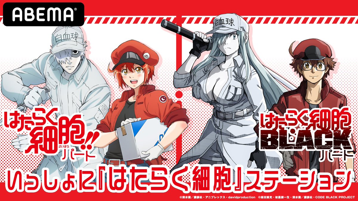 Cells at Work' 2nd Anime Season Dub Cast & Funimation/AnimeLab Streaming  Set