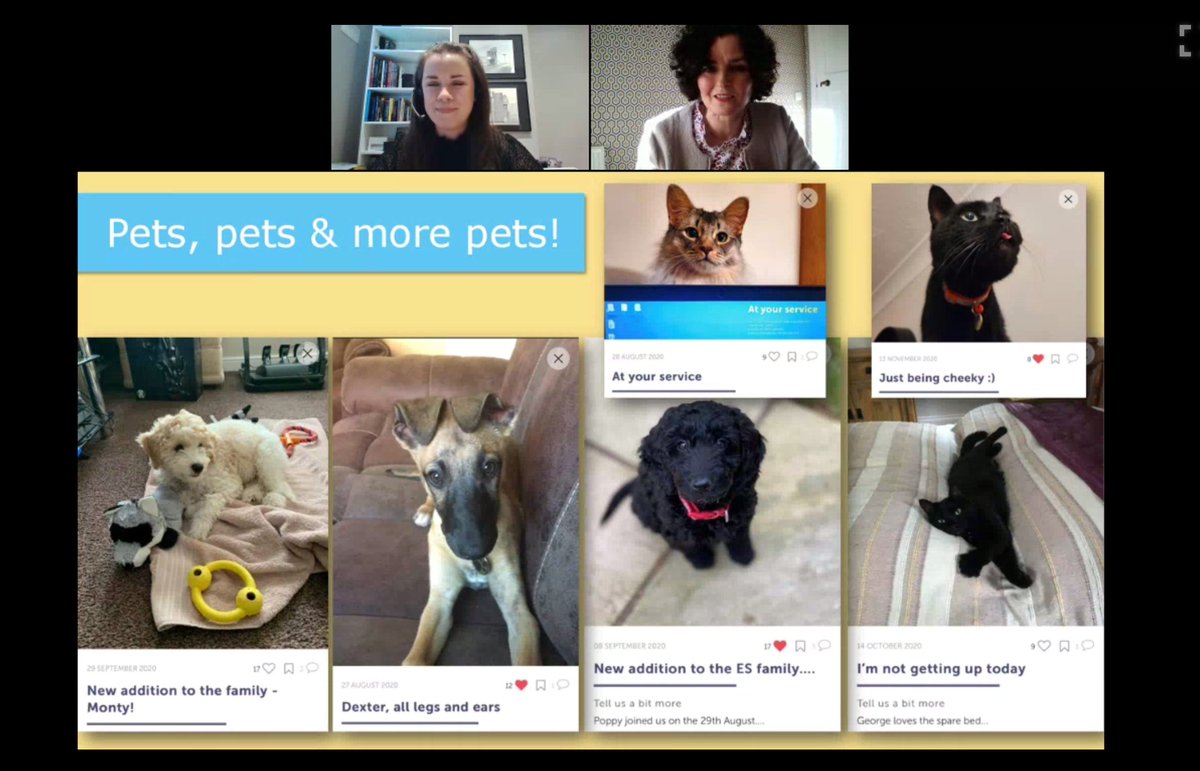 AllThingsIC's tweet photo. Can't beat featuring pets in your internal comms! Love this from @ESgloballaw via #ICChallengesOfCovid19 conference today. Employees have been sharing pics of their furry friends as a way to stay connected with each other this year. #CommsCats https://t.co/nN0FdGMIx3
