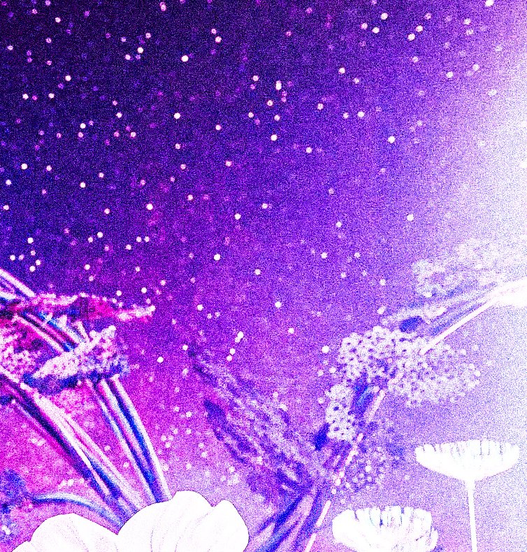 𓂂 ✞ ˙𓈒 net - té / $karina   ╸ ˙ 𓈒 ลฟตท ᚐ