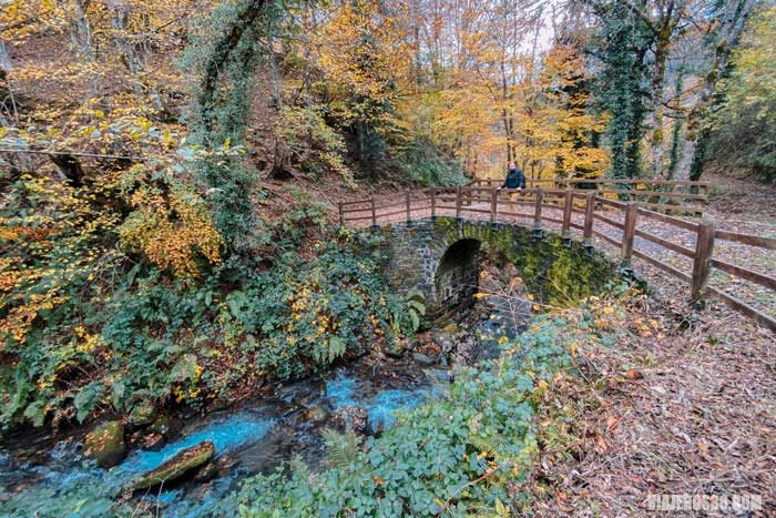 viajeros30's tweet photo. 10 bosques de cuento de hadas para soñar con el #otoño 🍁 en la provincia de #León ¡Pura magia señores! ▶️ https://t.co/Wg6yozrgqC @turisleonesp @As_CuatroValles #LeónlotienesCerca https://t.co/LcH4CHcZSp