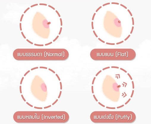 PharmaZeed's tweet photo. หัวนมแบบไหนที่ชอบ หัวนี้คนนี้นะ #นมใหญ่ #นมสวย #นมแท้ #นัดเย็ดเชียงใหม่ #เงี่ยนควย #เงี่ยน #ไวอากร้า #ไวอาก้า #ยาปลุกเซ็กส์ #ยาอึด #สวิงกิ้งกทม #onsกทม #เย็ดเด็ก #เย็ดสดแตกใน #เย็ดหี #เย็ด 

สั่งของทักแชท https://t.co/E6E7GiFJQl
