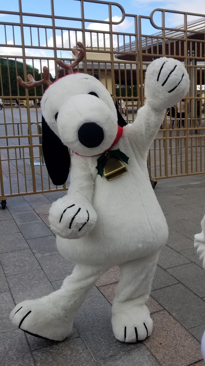 OhYuu's tweet photo. ❄️今日のスヌーピーたち❄️ https://t.co/9qVI1ho0U7