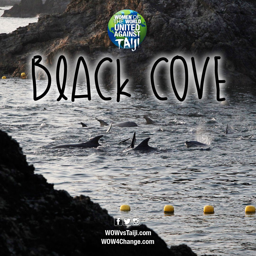 Mandy Ⓥan der Walt tweet media