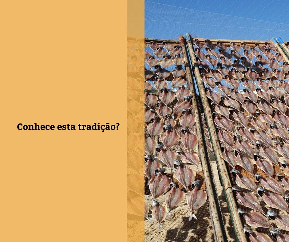 findoutnazarept's tweet photo. Conhece? 🐟😉
#findoutnazare #nazareportugal #visitaportugal #lovenazare #nazare #tupodes #tradicao #peixeseco #visitnazare #visitportugal https://t.co/HWyf6wRIMo