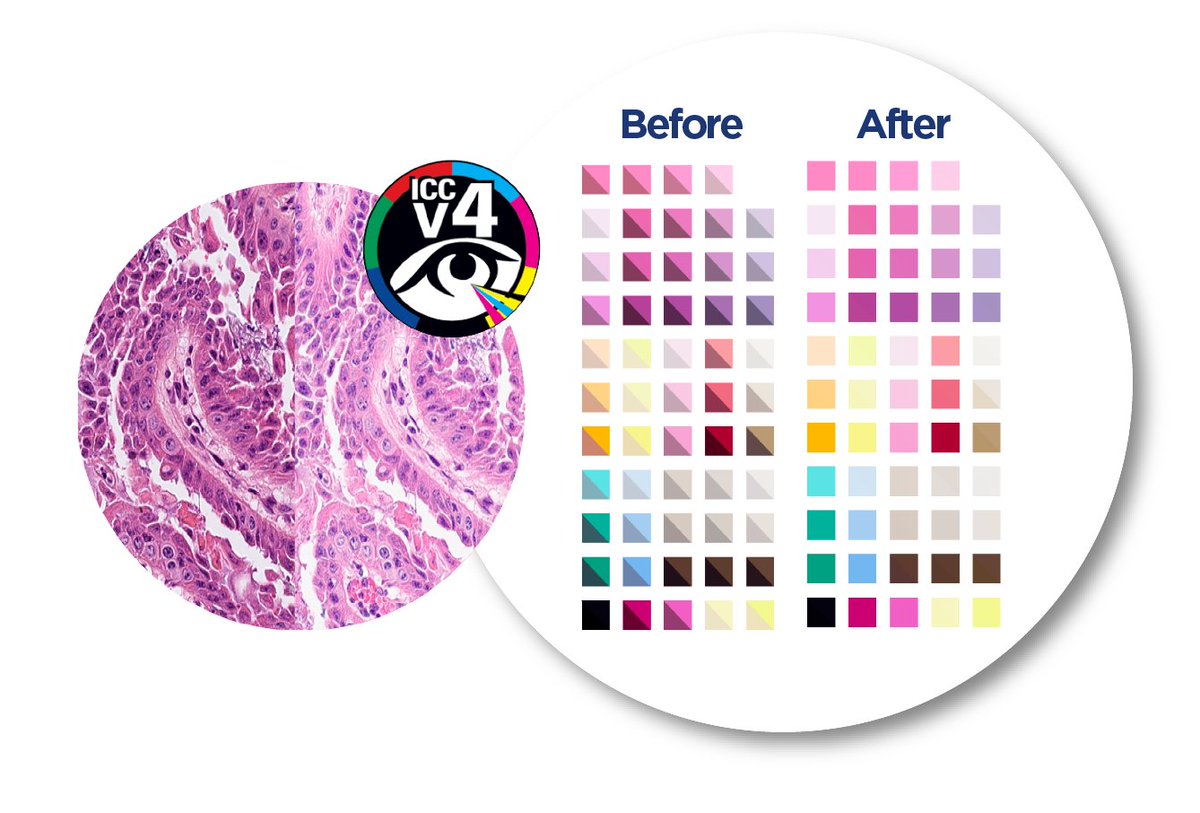 FFEI launch Sierra Validate &amp; Standardise Analyser - a digital colour validation tool that identifies the variances between the digital colours produced by WSI devices and actual ground-truth colour. <a href="/GlobalEngage/">Global Engage</a> #digitalpathology