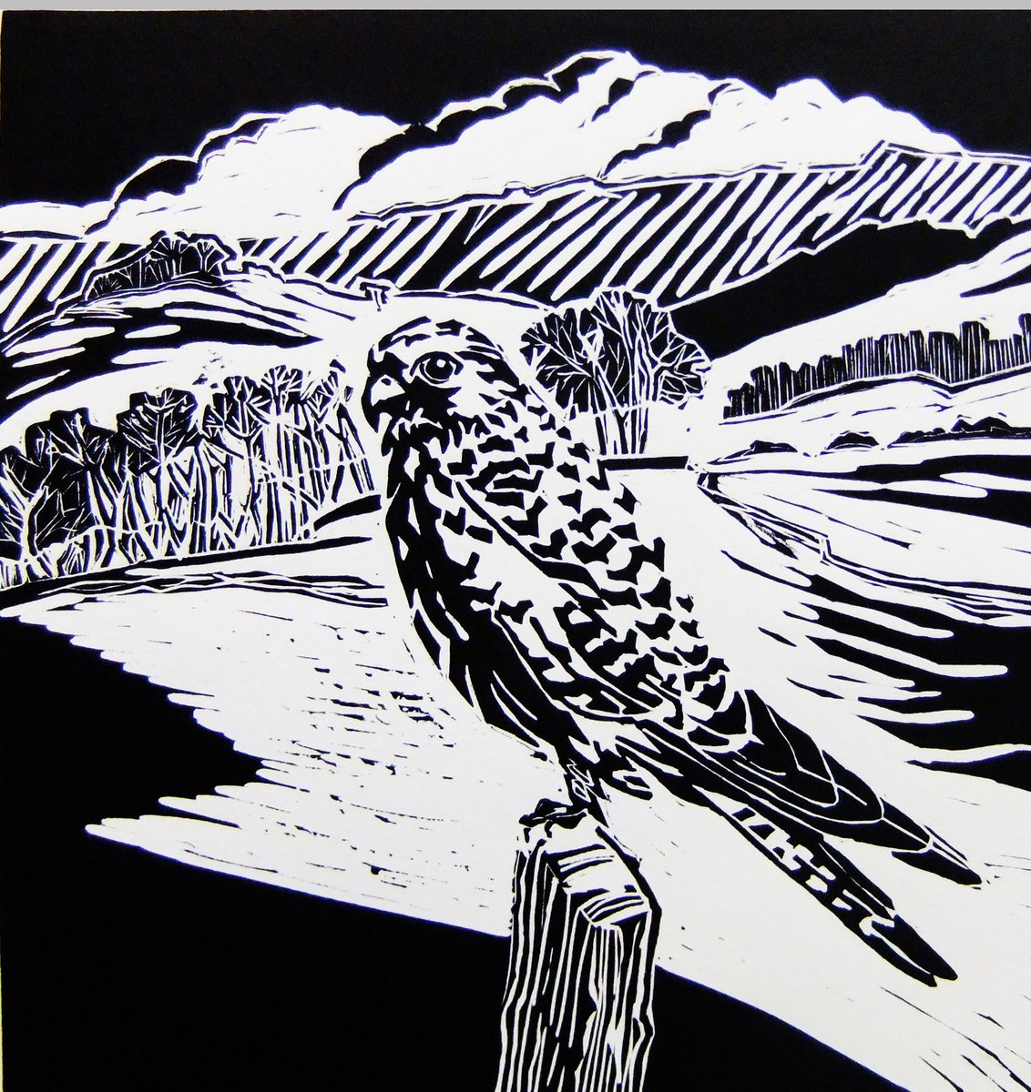 Don’t miss Malcolm Barton's work in our 
<a href="/LeedsFineArt/">Leeds Fine Artists</a> virtual exhibition on now and running until end of January 21.  #artmakesthebestpresents  
Visit our website: leedsfineartists.co.uk