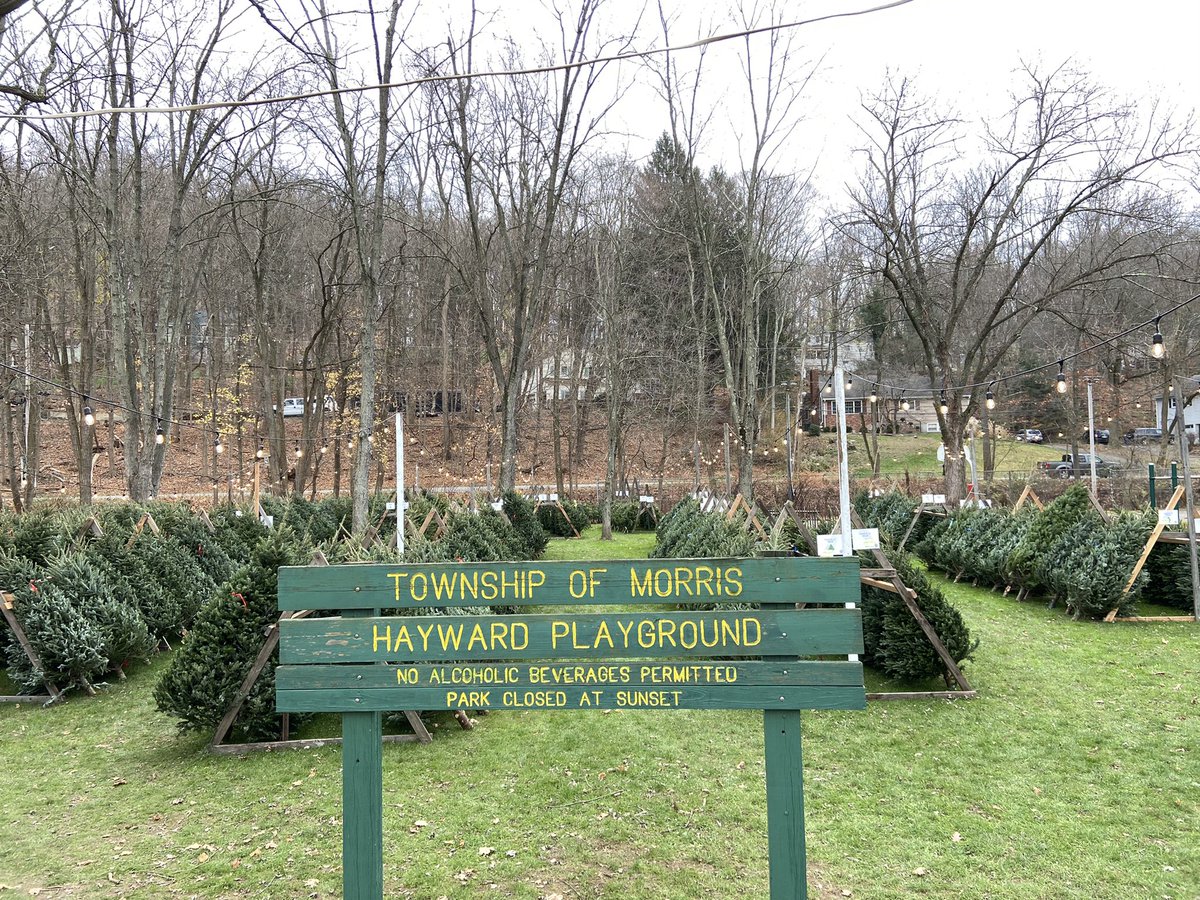 SupportHillside's tweet photo. Thank you to all our volunteers who helped unload hundreds of Christmas trees this weekend for our annual fundraiser! Sales start Friday. https://t.co/py3h93inv7